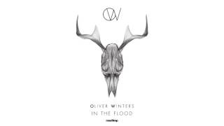 Video thumbnail of "Oliver Winters - In The Flood"