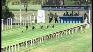 Capalaba-07052016-Race-2