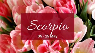 Scorpio❤The one that was noncommittal here’s why they r stressed yet so drawn to u..