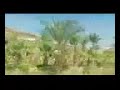 أغنية الله يخليهم جرحي يهنيهم على فلوق شرم الشيخ أغنية الله يخليهم جرحي يهنيهم على فلوق شرم الشيخ