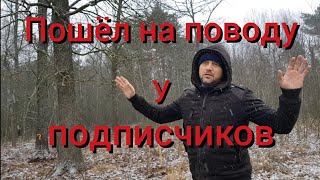 Мы все равно построим домик на дереве , но  по принципу : и волки сыты и овцы целы . Салат из грибов