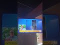 capturado nicolas maduro