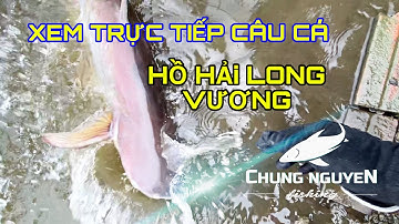 Xem Trực Tiếp Câu Cá Hồ Hải Long Vương | Chung Nguyễn Fishing