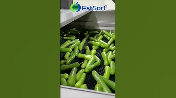 cucumber sorting grading machine  #cucumber