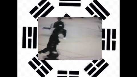 Jiang Rong Qiao BaGuaZhang