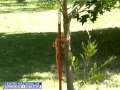 Curso de Jardineria