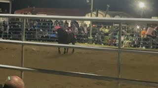 Don’t mind my voice in the background, also it’s so fun to watch bull riding but also scary