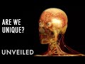 What's So Special About Human Beings? | Unveiled