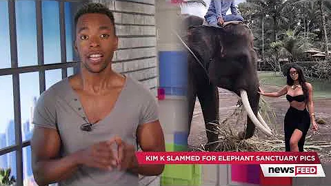 Kim Kardashian BASHED For Posing With Elephant!