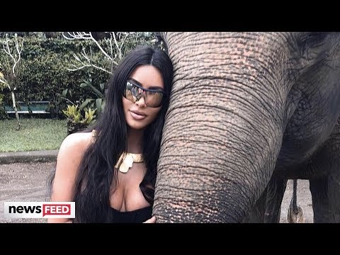 Kim Kardashian BASHED For Posing With Elephant!