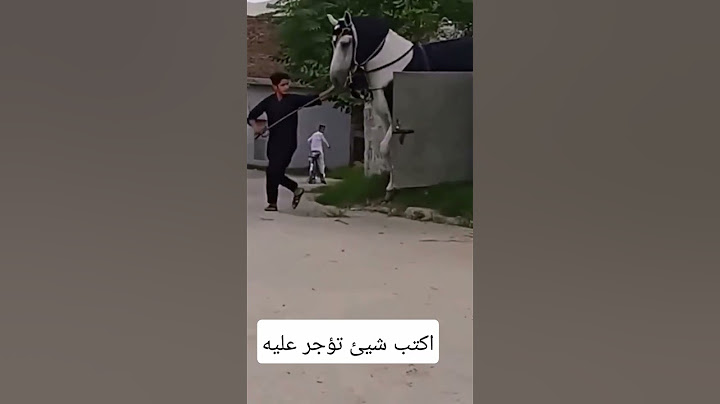 من أكبر الخيول في العالم😱🐎 #خيل #خيل_عربي_اصيل
