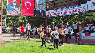 Dikmen yağlı güreşleri 2026 başladı ilk görüntüler #dikmen 