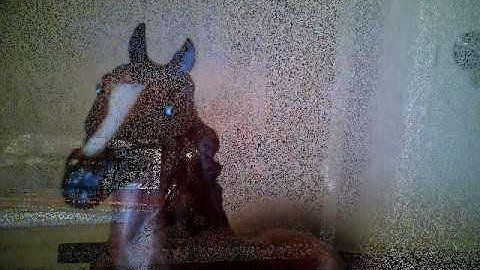 My first custom breyer