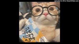 Halcali Otsukare Summer hoodtrap Remix