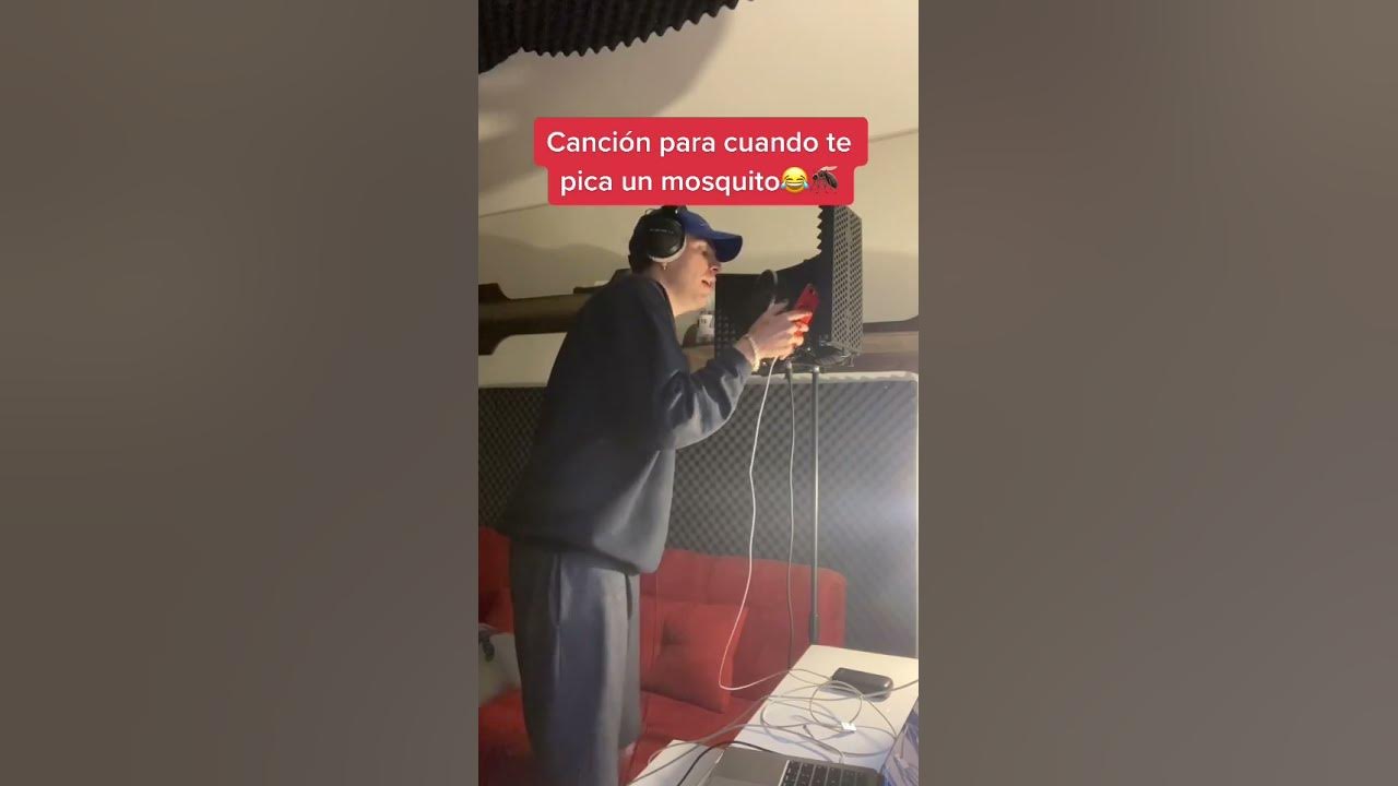 El RAP del mosquito culero #shorts El RAP del mosquito culero #shorts