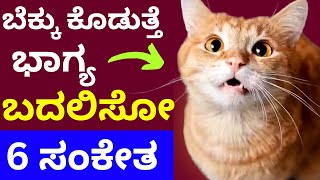 ಬೆಕ್ಕು ನೀಡುತ್ತೆ ಭಾಗ್ಯ ಬದಲಿಸುವ 6 ಸಂಕೇತಗಳು  Cat sign in astrology home