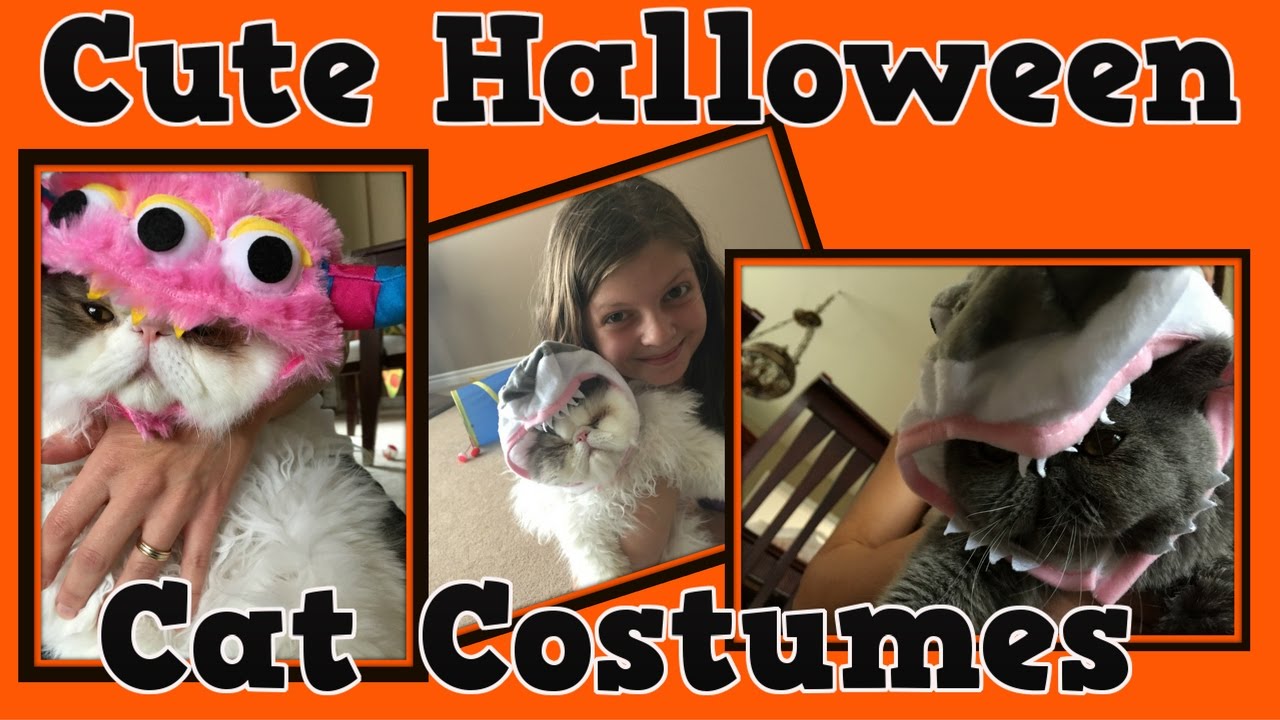 Cute Halloween Costumes For Kittens & Cats. Willy & Dress Up