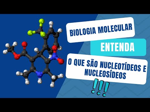 Vídeo: Diferença Entre Nucleotídeo E Nucleosídeo