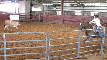 Valley View Ranch - Young Money - sorting 1