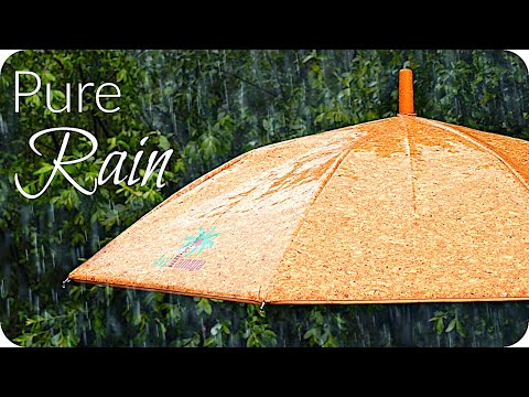 ASMR Rain On Cork Umbrella 8 Hrs ☔️ Binaural Rain for Sleep, Study, Reading (No Talking) White Noise