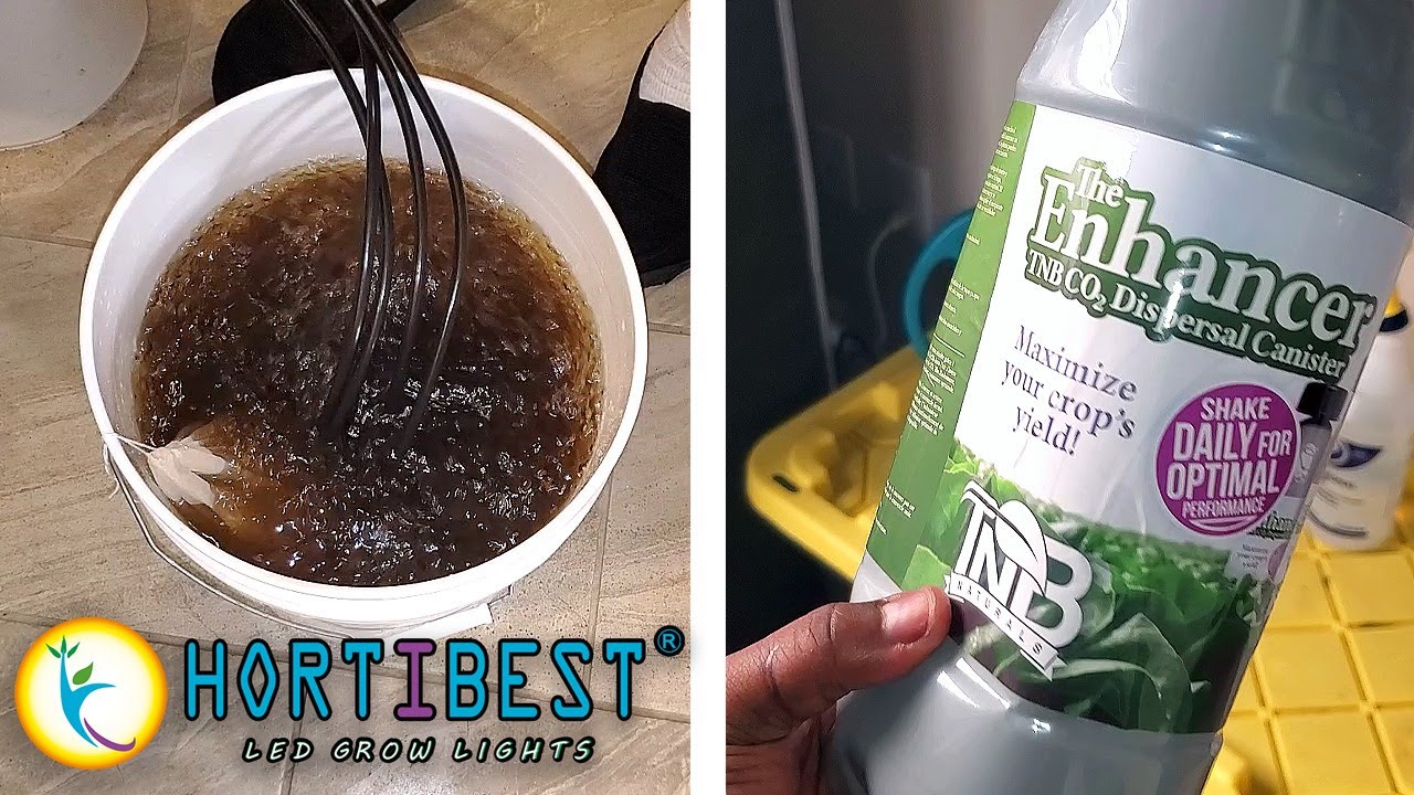 Using Compost Tea & CO2 For The First Time + Weeks 5-6 of Flower - Hortibest Grow EP6