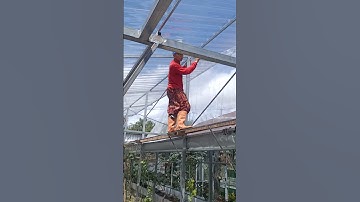 Thumbnail of Proses pemasangan inseck net buat grand house Anggur