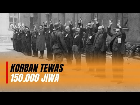 Pemberontakan Warsawa, Perlawanan POLANDIA Kepada JERMAN yang Diremehkan SOVIET