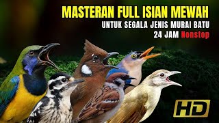 MASTERAN MURAI BATU FULL ISIAN TEMBAKAN MEWAH
