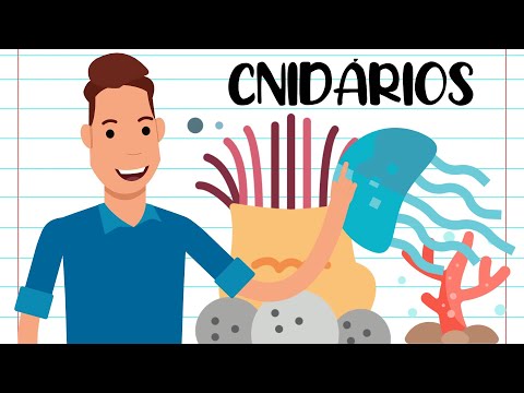 Vídeo: Em cnidários uma cavidade gastrovascular central?