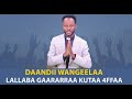 Lallaba Gaararraa Kutaa 4ffaa Daandii Wangeelaa Luba Garramuu Jaallataan Lallaba Gaararraa Kutaa 4ffaa Daandii Wangeelaa Luba Garramuu Jaallataan
