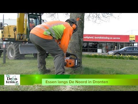 Werkzaamheden aan de Biddingringweg en De Noord beginnen vandaag