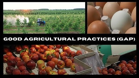Good Agricultural Practices (G.A.P.) Food Safety Certification