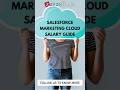 Salesforce Marketing Cloud Salary Guide #shorts #salesforce