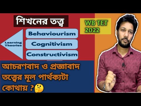 ভিডিও: কামিন্স তত্ত্ব কি?