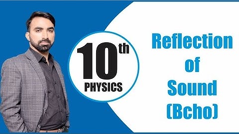 10th Class | Physics | Chapter 11 | Reflection of Sound | Echo | Sound | Lec.08 | Haytham Academy