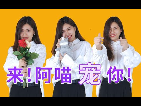 520怎么告白？阿喵教你表演几个小魔术吧！宠粉福利哪家强！