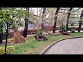 Вольер для птиц / Moscow Zoo
