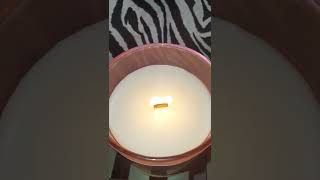 This Is A Gooood Smelling Candle!"HAVEN ST. CANDLE COMPANY"
