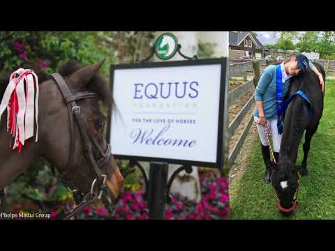 equus foundation making it right