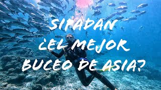 Sipadan El Mejor Buceo De Asia? Hd Visado Infinito