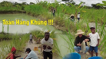 Linh Philip || Cùng Anh Em Trong Công Ty Xuống Bắt Toàn Hàng Khủng Trong Việt Phi Farm !
