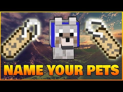 Video: How To Name A Pet