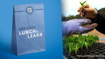 QUESCREN Lunch & Learn: The Social Solidarity Economy and Quebec’s English-Speaking Communities