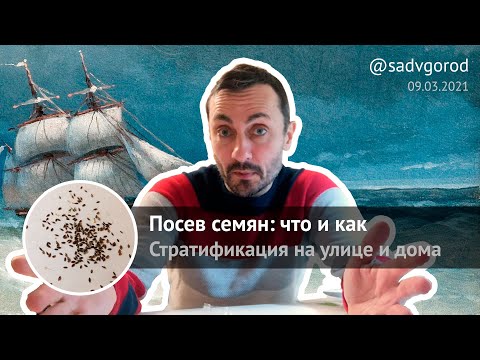 Видео: Нежный стратифицированный дом, вдохновленный спокойствием сайта