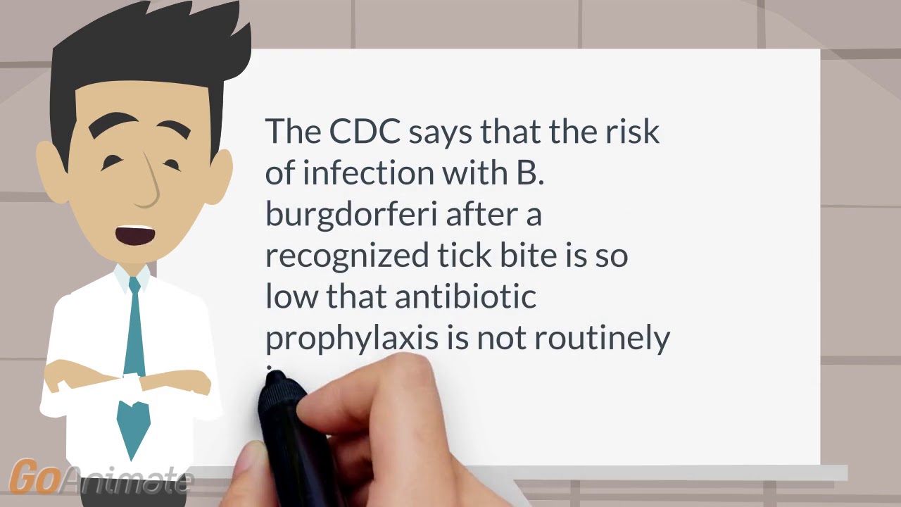 Antibiotic prophylaxis for Lyme disease YouTube