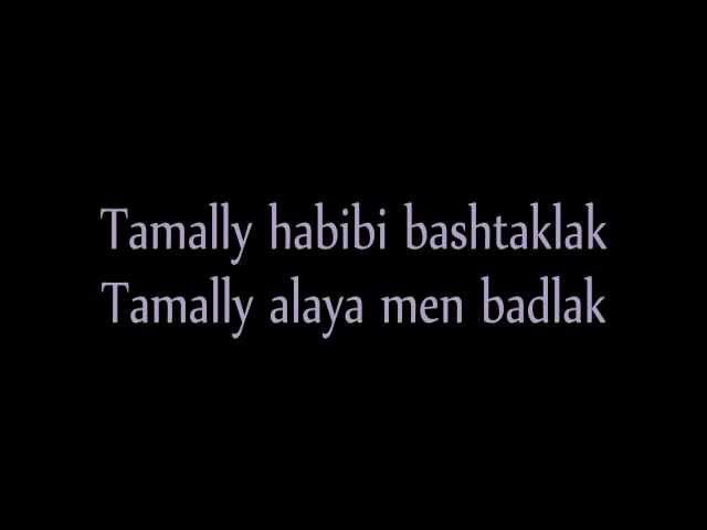 Amr Diab - Tamally Maak lyrics class=