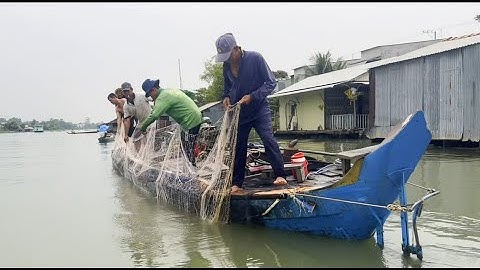 Lưới chụp 3 màng của anh Út cá tôm dính liền tay thấy mê quá - Sông Nước Cửu Long - Nguyễn Hùng