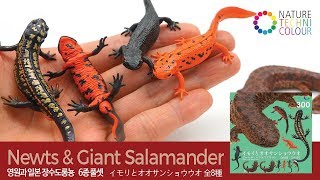 Newts & Giant Salamander / イモリとオオサンショウウオ / 네이처 테크니 칼라 MONO 영원과 일본 장수도롱뇽 / Nature Techni Colour