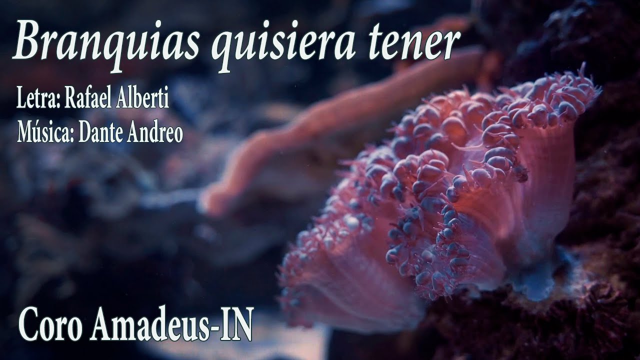 Branquias quisiera tener · Andreo, D. (música) & Alberti, R. (letra) · Coro Amadeus-IN