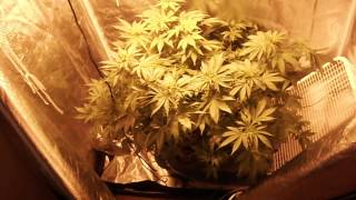 Hydro Run vid 5